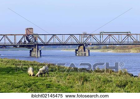Friesenbruecke bridge, a railway bascule bridge crossing the Ems River, Weener, East Frisia, Lower Saxony, Germany, Europe View Large Photo Image Stock Photography - Friesenbruecke bridge, a railway bascule bridge crossing the Ems River, Weener, East Frisia, Lower Saxony, Germany, Europe. Fotosearch