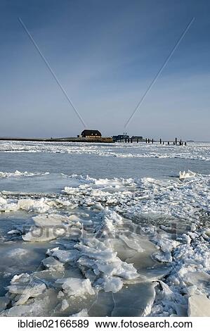 Frozen North Sea with the Hallig Langeness, holm, on the horizon, North Frisia, Schleswig-Holstein, Northern Germany, Germany, Europe View Large Photo Image Stock Photo - Frozen North Sea with the Hallig Langeness, holm, on the horizon, North Frisia, Schleswig-Holstein, Northern Germany, Germany, Europe. Fotosearch