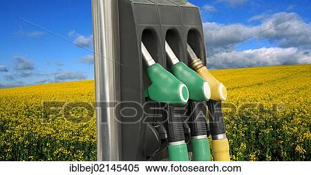 Stock Photography - Gasoline pump in front of rape field, symbolic image green fuel. Fotosearch
