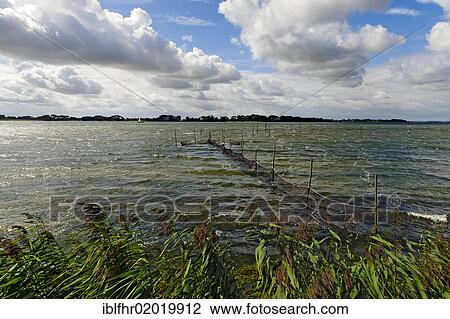Stock Image - Groensund sound between Falster island and Moen island, Denmark, Europe. Fotosearch