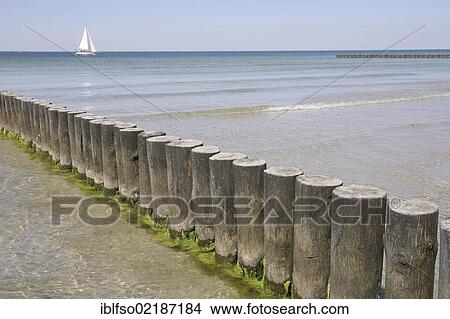 Picture - Groyne, western beach, Gellen peninsula near Neuendorf, Hiddensee, Mecklenburg-Western Pomerania, Baltic Sea, Germany, Europe. Fotosearch