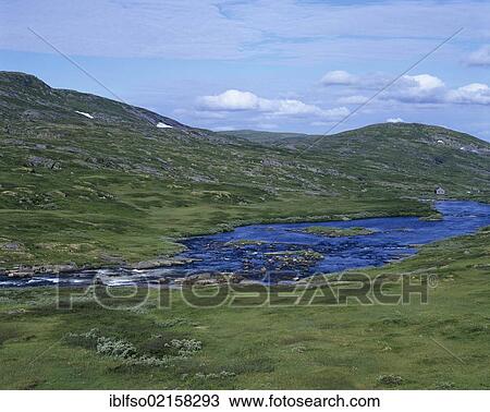 Hardangervidda plateau, Fjell, Hordaland, Norway, Scandinavia, Europe View Large Photo Image Stock Image - Hardangervidda plateau, Fjell, Hordaland, Norway, Scandinavia, Europe. Fotosearch