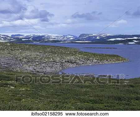 Hardangervidda plateau, Fjell, Hordaland, Norway, Scandinavia, Europe View Large Photo Image Stock Photography - Hardangervidda plateau, Fjell, Hordaland, Norway, Scandinavia, Europe. Fotosearch