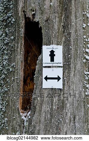 Hikers trail marker on an old tree stump, Taunus, Hesse, Germany, Europe, PublicGround, Europe View Large Photo Image Stock Image - Hikers trail marker on an old tree stump, Taunus, Hesse, Germany, Europe, PublicGround, Europe. Fotosearch