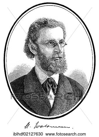 Historical print, 1880, portrait of Alfred Woltmann, 1841 - 1880, German art historian, from the Illustrated History of German National Literature, by Gustav Koennecke, 1887 View Large Photo Image Stock Image - Historical print, 1880, portrait of Alfred Woltmann, 1841 - 1880, German art historian, from the Illustrated History of German National Literature, by Gustav Koennecke, 1887. Fotosearch