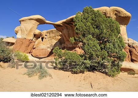 Picture - Hoodoos at Devil's Garden, Grand Staircase Escalante National Monument, Utah, USA, North America. Fotosearch