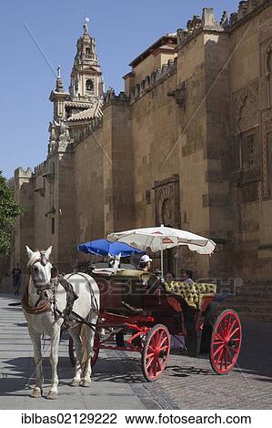 Horse and carriage outside La Mezquita, former mosque, Cordoba Catedral, Cordoba Cathedral, UNESCO World Heritage Site, Cordoba, Andalusia, Spain, Europe View Large Photo Image Stock Image - Horse and carriage outside La Mezquita, former mosque, Cordoba Catedral, Cordoba Cathedral, UNESCO World Heritage Site, Cordoba, Andalusia, Spain, Europe. Fotosearch