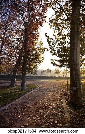 Huerta de la Partida orchard, in Madrid Rio, an ecological development in the city of Madrid, Spain, Europe View Large Photo Image Picture - Huerta de la Partida orchard, in Madrid Rio, an ecological development in the city of Madrid, Spain, Europe. Fotosearch