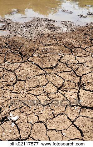 Impacts of climate change, dried soil at the edge of a drying up watering hole, Gran Chaco, Salta province, Argentina, South America View Large Photo Image Stock Photo - Impacts of climate change, dried soil at the edge of a drying up watering hole, Gran Chaco, Salta province, Argentina, South America. Fotosearch