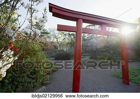 Japanese Garden, Karlsruhe, Baden-Wuerttemberg, Germany, Europe View Large Photo Image Stock Photograph - Japanese Garden, Karlsruhe, Baden-Wuerttemberg, Germany, Europe. Fotosearch