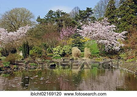 Japanese Garden, Westfalenpark Dortmund, North-Rhine Westphalia, Germany, Europe View Large Photo Image Stock Image - Japanese Garden, Westfalenpark Dortmund, North-Rhine Westphalia, Germany, Europe. Fotosearch