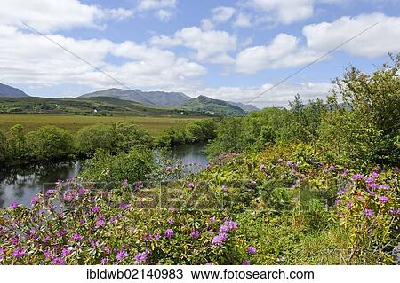 Stock Image - Joyce Country between Leenane and Maam, County Galway, Ireland, Europe. Fotosearch