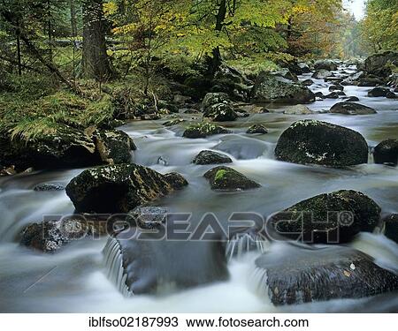 Kalte Bode river near the town of Schierke, Harz National Park, Saxony-Anhalt, Germany, Europe View Large Photo Image Stock Image - Kalte Bode river near the town of Schierke, Harz National Park, Saxony-Anhalt, Germany, Europe. Fotosearch