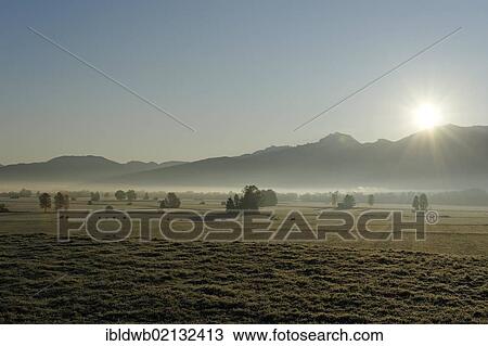 Kochler Moor, moorland near Grossweil, Pfaffenwinkel, Upper Bavaria, Germany, Europe View Large Photo Image Stock Image - Kochler Moor, moorland near Grossweil, Pfaffenwinkel, Upper Bavaria, Germany, Europe. Fotosearch