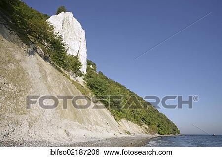 Koenigsstuhl chalk cliff and a beech forest (Fagus sylvatica), UNESCO World Heritage site, Jasmund National Park, Ruegen, Rugia, Mecklenburg-Western Pomerania, Baltic Sea, Germany, Europe View Large Photo Image Stock Photograph - Koenigsstuhl chalk cliff and a beech forest (Fagus sylvatica), UNESCO World Heritage site, Jasmund National Park, Ruegen, Rugia, Mecklenburg-Western Pomerania, Baltic Sea, Germany, Europe. Fotosearch