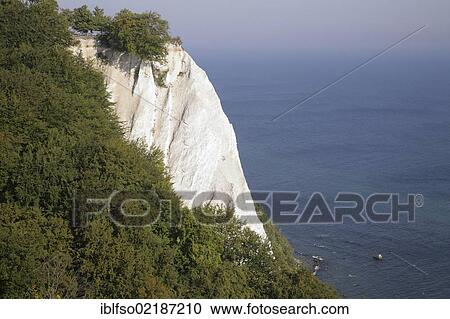 Koenigsstuhl chalk cliff, Victoriasicht viewpoint and a beech forest (Fagus sylvatica), UNESCO World Heritage site, Jasmund National Park, Ruegen, Rugia, Mecklenburg-Western Pomerania, Baltic Sea, Germany, Europe View Large Photo Image Stock Image - Koenigsstuhl chalk cliff, Victoriasicht viewpoint and a beech forest (Fagus sylvatica), UNESCO World Heritage site, Jasmund National Park, Ruegen, Rugia, Mecklenburg-Western Pomerania, Baltic Sea, Germany, Europe. Fotosearch
