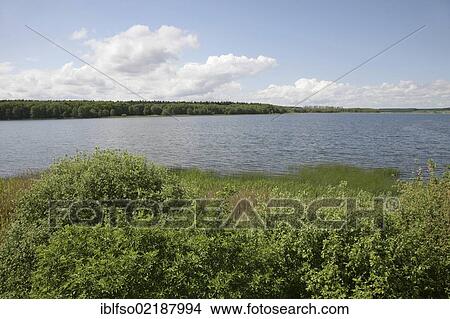 Krakower See Lake near the climatic spa of Krakow am See, Mecklenburg Lake District, Mecklenburg-Western Pomerania, Germany, Europe View Large Photo Image Picture - Krakower See Lake near the climatic spa of Krakow am See, Mecklenburg Lake District, Mecklenburg-Western Pomerania, Germany, Europe. Fotosearch