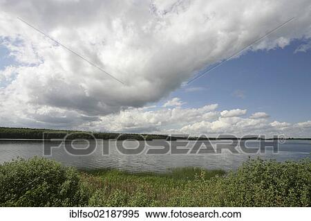 Krakower See Lake near the climatic spa of Krakow am See, Mecklenburg Lake District, Mecklenburg-Western Pomerania, Germany, Europe View Large Photo Image Stock Photography - Krakower See Lake near the climatic spa of Krakow am See, Mecklenburg Lake District, Mecklenburg-Western Pomerania, Germany, Europe. Fotosearch