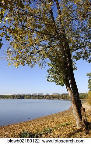 Lake Grosser Bischofsweiher, Dechsendorf, Erlangen, Middle Franconia, Franconia, Bavaria, Germany, Europe View Large Photo Image Stock Image - Lake Grosser Bischofsweiher, Dechsendorf, Erlangen, Middle Franconia, Franconia, Bavaria, Germany, Europe. Fotosearch