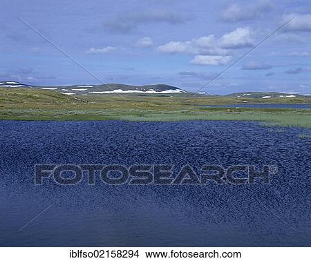 Lake on the Hardangervidda plateau, Fjell, Hordaland, Norway, Scandinavia, Europe View Large Photo Image Picture - Lake on the Hardangervidda plateau, Fjell, Hordaland, Norway, Scandinavia, Europe. Fotosearch