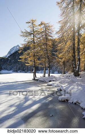 Stock Image - Lake Palpuogna, Berguen, Graubunden, Switzerland, Europe. Fotosearch