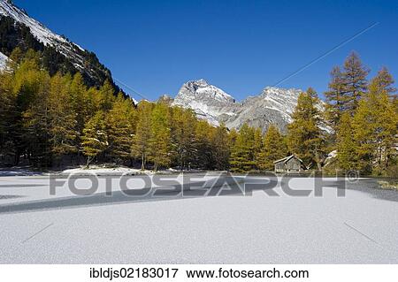 Lake Palpuogna, Berguen, Graubunden, Switzerland, Europe View Large Photo Image Stock Photo - Lake Palpuogna, Berguen, Graubunden, Switzerland, Europe. Fotosearch
