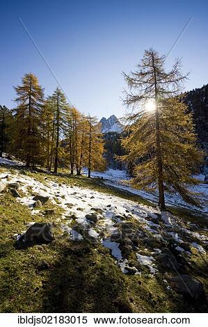 Stock Photography - Lake Palpuogna, Berguen, Graubunden, Switzerland, Europe. Fotosearch