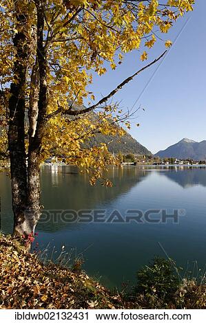 Lake Walchensee with the village of Walchensee and Jochberg Mountain, Upper Bavaria, Germany, Europe View Large Photo Image Stock Image - Lake Walchensee with the village of Walchensee and Jochberg Mountain, Upper Bavaria, Germany, Europe. Fotosearch
