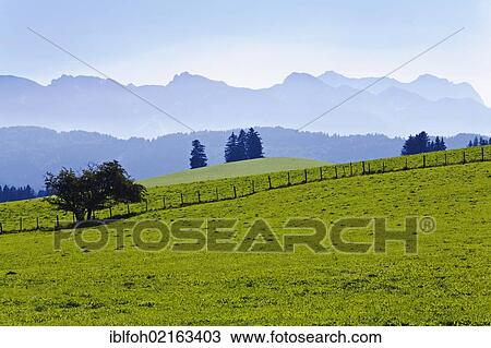 Landscape in Eastern Allgaeu, Allgaeu, Bavaria, Germany, Europe, PublicGround, Europe View Large Photo Image Stock Image - Landscape in Eastern Allgaeu, Allgaeu, Bavaria, Germany, Europe, PublicGround, Europe. Fotosearch