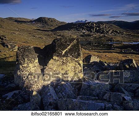 Landscape in the evening light on Sognefjell or Sognefjellet mountain pass, Sogn og Fjordane, Norway, Scandinavia, Europe View Large Photo Image Stock Image - Landscape in the evening light on Sognefjell or Sognefjellet mountain pass, Sogn og Fjordane, Norway, Scandinavia, Europe. Fotosearch