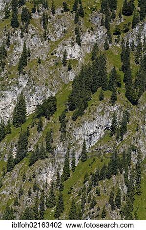 Landscape north of Bad Hindelang in the Upper Allgaeu, looking south, Allgaeu, Bavaria, Germany, Europe, PublicGround, Europe View Large Photo Image Stock Image - Landscape north of Bad Hindelang in the Upper Allgaeu, looking south, Allgaeu, Bavaria, Germany, Europe, PublicGround, Europe. Fotosearch
