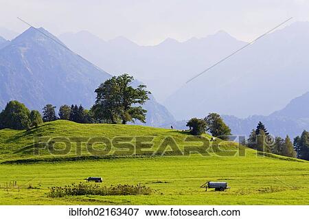 Landscape of the Allgaeu, looking southeast, with Rubihorn Mountain on the left, Oberstdorf, Allgaeu, Bavaria, Germany, Europe, PublicGround, Europe View Large Photo Image Stock Photo - Landscape of the Allgaeu, looking southeast, with Rubihorn Mountain on the left, Oberstdorf, Allgaeu, Bavaria, Germany, Europe, PublicGround, Europe. Fotosearch