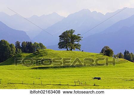 Landscape of the Allgaeu, looking southeast, Oberstdorf, Allgaeu, Bavaria, Germany, Europe, PublicGround, Europe View Large Photo Image Stock Photo - Landscape of the Allgaeu, looking southeast, Oberstdorf, Allgaeu, Bavaria, Germany, Europe, PublicGround, Europe. Fotosearch