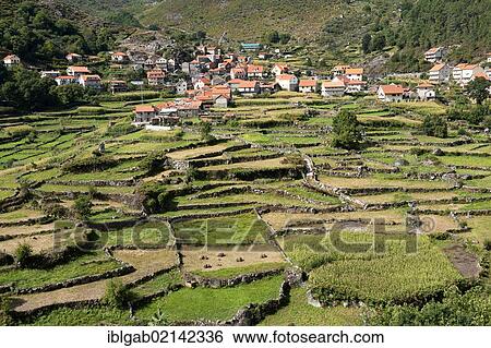 Landscape with stonewalls, Peneda Geres National Park, Minho province, Portugal, Europe View Large Photo Image Stock Photograph - Landscape with stonewalls, Peneda Geres National Park, Minho province, Portugal, Europe. Fotosearch