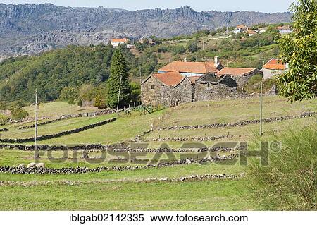 Landscape with stonewalls, Peneda Geres National Park, Minho province, Portugal, Europe View Large Photo Image Stock Photography - Landscape with stonewalls, Peneda Geres National Park, Minho province, Portugal, Europe. Fotosearch