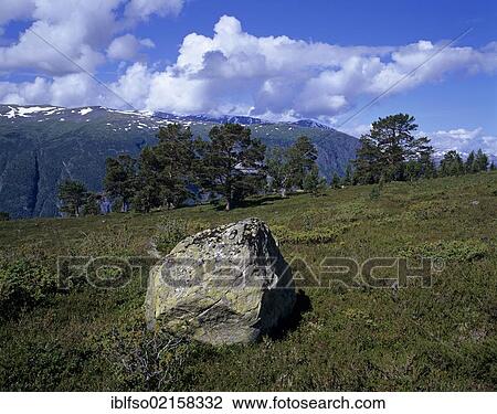 Stock Image - Large boulder in the landscape above Aurlandsfjord, Aurland, Sogn og Fjordane, Norway, Scandinavia, Europe. Fotosearch