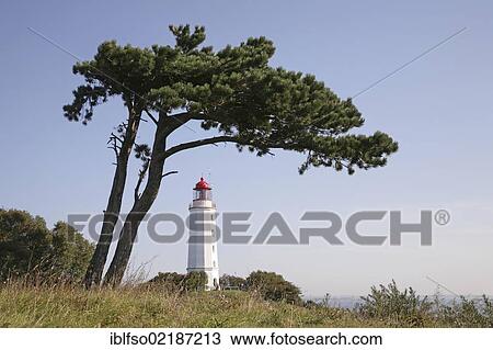 Lighthouse, Dornbusch hill land, Hiddensee, Mecklenburg-Western Pomerania, Baltic Sea, Germany, Europe View Large Photo Image Stock Image - Lighthouse, Dornbusch hill land, Hiddensee, Mecklenburg-Western Pomerania, Baltic Sea, Germany, Europe. Fotosearch