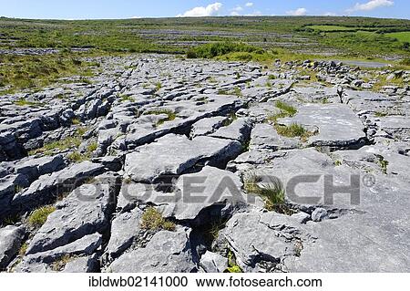 Limestone erosion near Ballyallaban, Burren, County Clare, Ireland, Europe View Large Photo Image Stock Image - Limestone erosion near Ballyallaban, Burren, County Clare, Ireland, Europe. Fotosearch