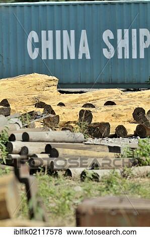 Stock Photo - Logs from the Chaco region in front of a container labeled "China Shipping", export of valuable tropical timber to China, Salta province, Argentina, South America. Fotosearch
