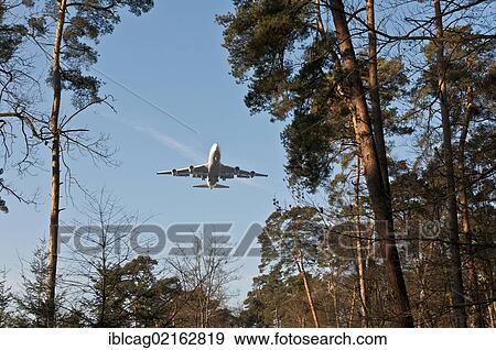 Lufthansa Boeing 747-400 approaching to land over Frankfurt's city forest, Frankfurt, Hesse, Germany, Europe View Large Photo Image Stock Photo - Lufthansa Boeing 747-400 approaching to land over Frankfurt's city forest, Frankfurt, Hesse, Germany, Europe. Fotosearch