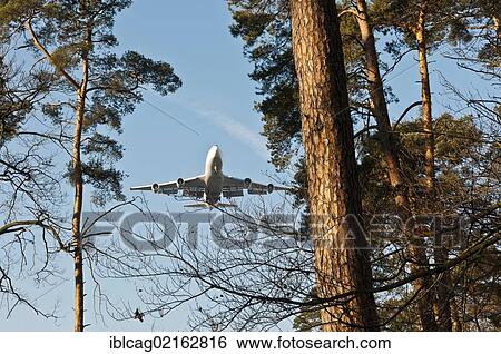 Lufthansa Boeing 747-400 approaching to land over Frankfurt's city forest, Frankfurt, Hesse, Germany, Europe View Large Photo Image Stock Photograph - Lufthansa Boeing 747-400 approaching to land over Frankfurt's city forest, Frankfurt, Hesse, Germany, Europe. Fotosearch