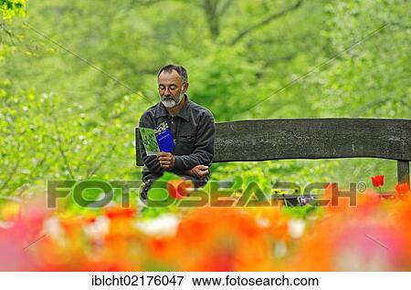 Stock Photo - Man sitting on a bench in spring with flowering tulips in the foreground, Westfalenpark, Dortmund, North Rhine-Westphalia, Germany, Europe. Fotosearch