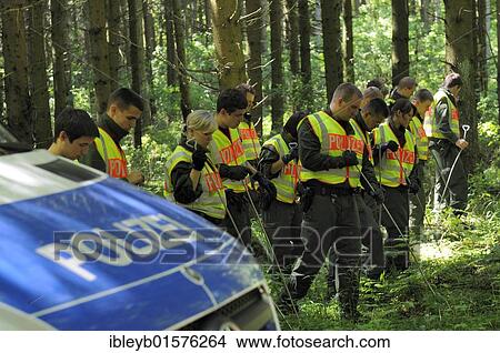 Picture - Maria Boegerl kidnapping case, police search team scouring woodlands near the location where a dead body was found in a forest near Niesitz, Heidenheim district, Baden-Wuerttemberg, Germany, Europe. Fotosearch