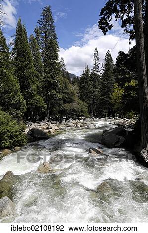 Merced River, Yosemite National Park, California, USA, North America View Large Photo Image Stock Image - Merced River, Yosemite National Park, California, USA, North America. Fotosearch