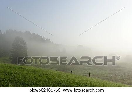 Morning mist at Groeben, near Grossweil, Loisach Valley, Upper Bavaria, Bavaria, Germany, Europe View Large Photo Image Stock Image - Morning mist at Groeben, near Grossweil, Loisach Valley, Upper Bavaria, Bavaria, Germany, Europe. Fotosearch