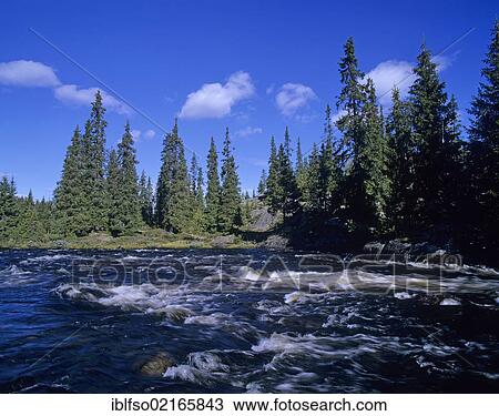 Stock Image - Mountain river near Forset in Vestfjellveien, Oppland, Norway, Scandinavia, Europe. Fotosearch