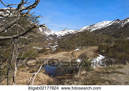 Picture - Mountaineous landscape, Tierra del Fuego National Park, Fireland, Patagonia, Argentina, South America. Fotosearch