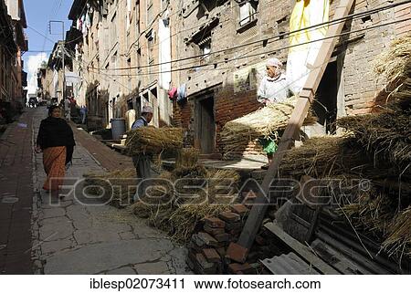 Nepalese men stacking bundles of straw on historic street, Bhaktapur, Kathmandu Valley, Nepal, Asia View Large Photo Image Stock Image - Nepalese men stacking bundles of straw on historic street, Bhaktapur, Kathmandu Valley, Nepal, Asia. Fotosearch