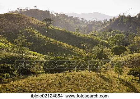 Northeastern uplands with tropical vegetation, Nicaragua, Central America, North America View Large Photo Image Picture - Northeastern uplands with tropical vegetation, Nicaragua, Central America, North America. Fotosearch
