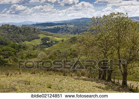 Northeastern uplands with tropical vegetation, Nicaragua, Central America, North America View Large Photo Image Stock Image - Northeastern uplands with tropical vegetation, Nicaragua, Central America, North America. Fotosearch